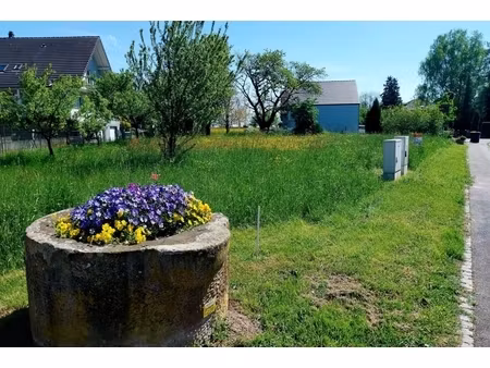 annonce terrain à vendre