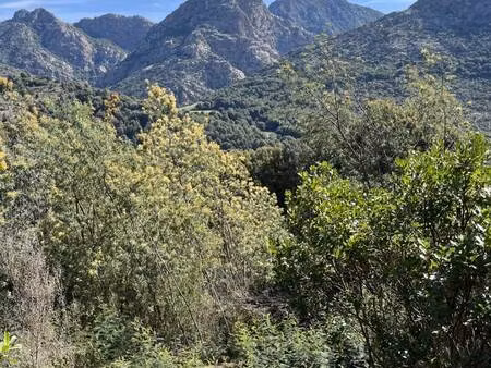 terrain constructible viabilisé à vendre