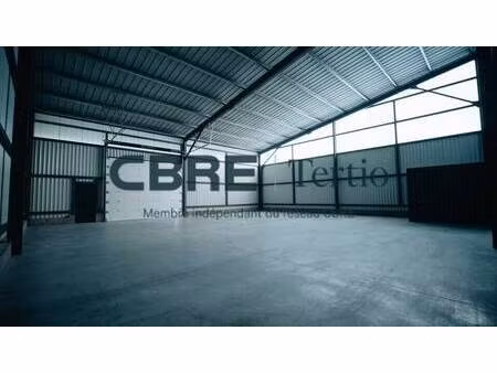 tertio