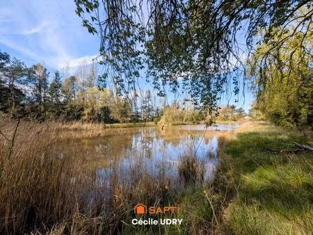 safti udry cécile conseiller indépendant