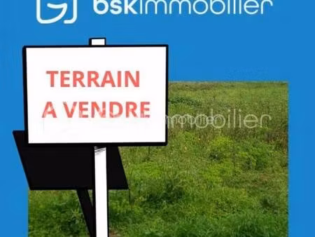 thierry testard bsk immobilier