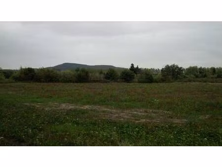 terrain constructible viabilisé à vendre