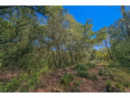 vente terrain 8429 m² à lorgues (83510)  17 000 €