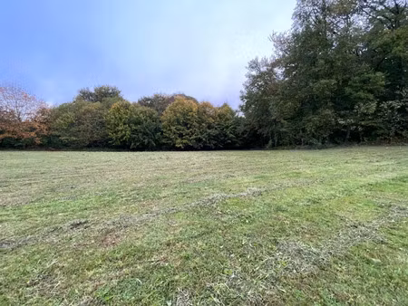 vente terrain 1200 m² à royères (87400)  40 000 €