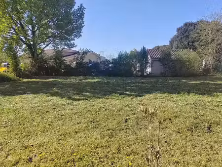 vente terrain à batir 490 m² à la réole (33190)  39 000 €