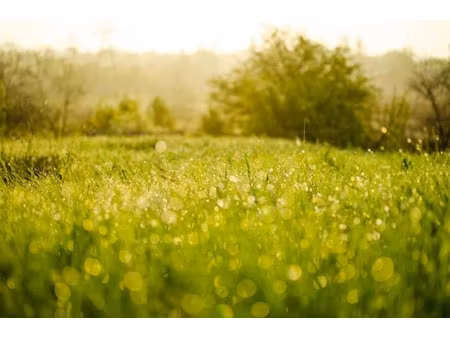 vente terrain 1130 m² à everly (77157)  56 000 €