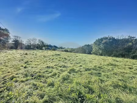 vente terrain 2000 m² à lanespède (65190)  52 000 €