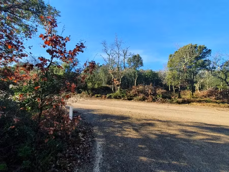 vente terrain 1338 m² à labastide-de-virac (07150)  93 900 €