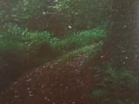 vente terrain 20529 m² à la trinite (97220)  350 000 €