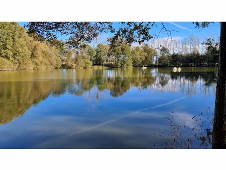 vente terrain à ménéac (56490)  336 000 €