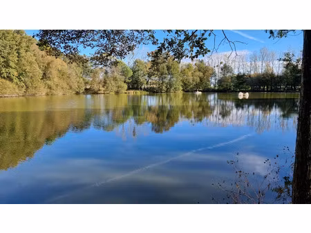 vente terrain à ménéac (56490)  352 000 €