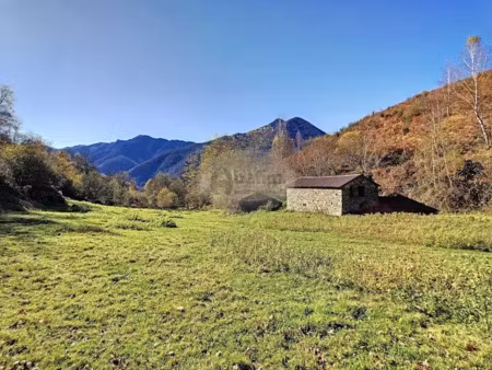 vente locaux professionnels 3 pièces 135 m² à mauléon-barousse (65370)  130 000 €