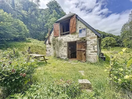 vente locaux professionnels 2 pièces 110 m² à campan (65710)  199 000 €