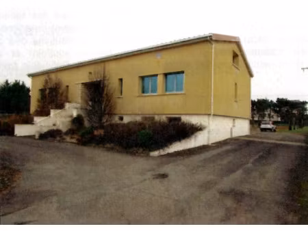 vente locaux professionnels 600 m² à dangé-saint-romain (86220)  310 000 €