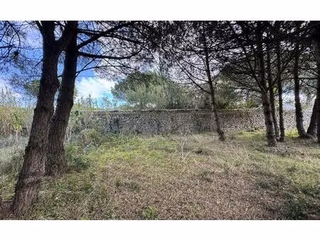 terrain la flotte m² t- à vendre  784 000 €