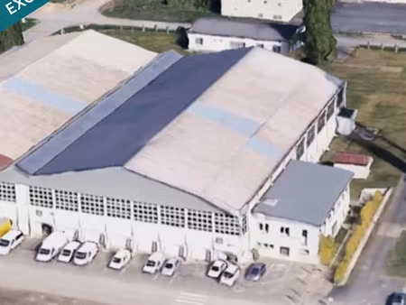 vente locaux professionnels 11 pièces 10556 m² à deols (36130)  3 100 000 €
