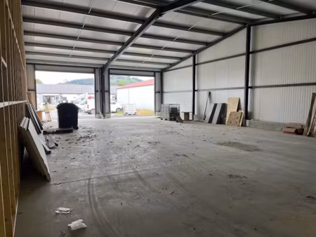 location locaux professionnels 200 m² à saint-jean-le-vieux (64220)  700 €