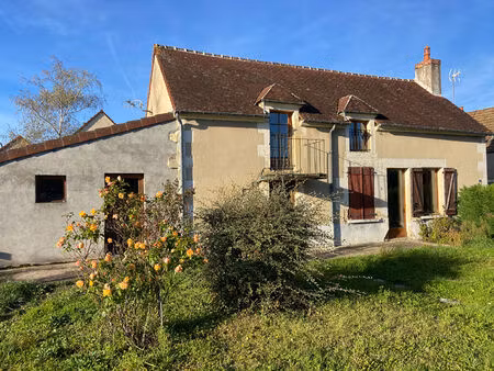coulanges les nevers  maison en pierre implantée sur un beau jardin