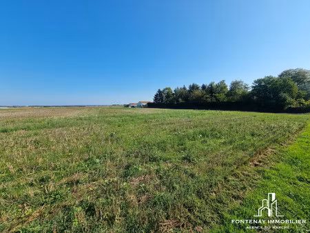 terrain à vendre montreuil