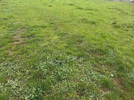 vente terrain à candé (49440) : à vendre / 790m² candé