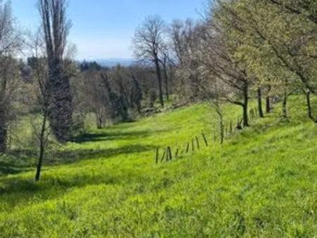 terrain de 5318 m2 - limonest  france