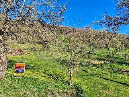 en vente terrain constructible 31 4 ares – 28 500 € |loupmont