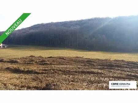 vente terrain chatillon le duc 10 000 m²