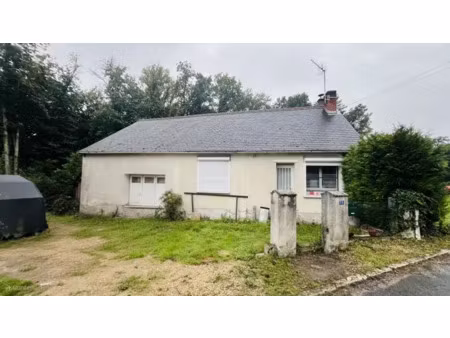 vente maison 2 pièces 51 m² à saint-aignan (41110)  98 000 €