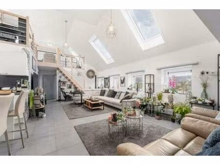 appartement te koop in lokeren