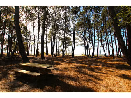 terrain constructible arès - proche bassin d'arcachon