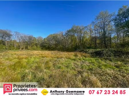 achat terrain 6 804m² villefranche sur cher 41200