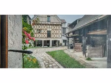 maison contemporaine avec jardin chatillon-sur-loire (45)