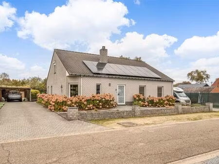maison à vendre à hamont € 469.000 (lgozo) - heylen vastgoed - lommel | zimmo