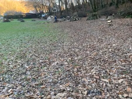 terrain constructible