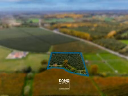 terrain à vendre à herk-de-stad € 101.453 (lgodk) - domo vastgoed | zimmo