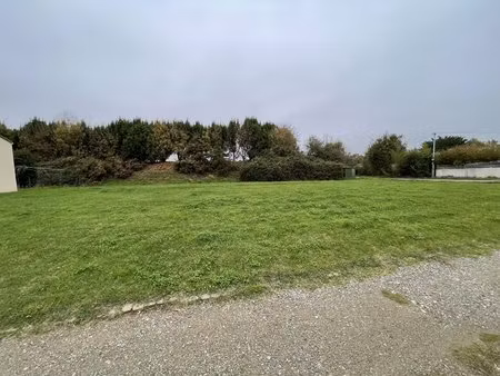 terrain constructible