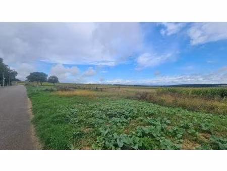 terrain constructible viabilisé à vendre