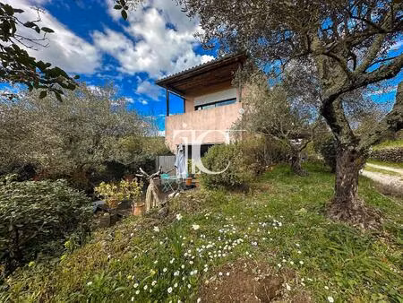 villa contemporaine avec terrain arbore