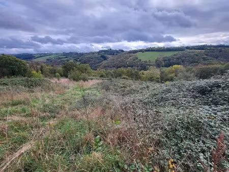 vente terrain 24638 m² à mont-roc (81120)  15 000 €