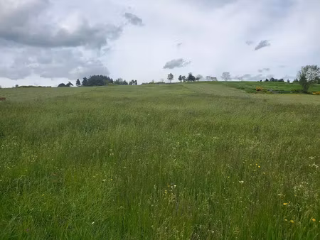 vente terrain 8000 m² à coucouron (07470)  77 000 €