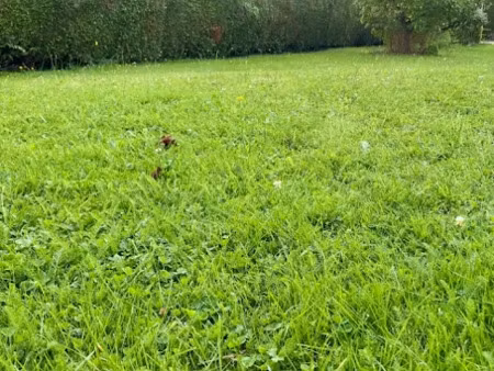 vente terrain 500 m² à miserey (27930)  60 000 €