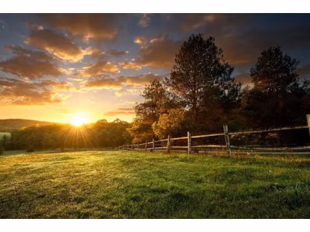 vente terrain 772 m² à villebarou (41000)  78 000 €