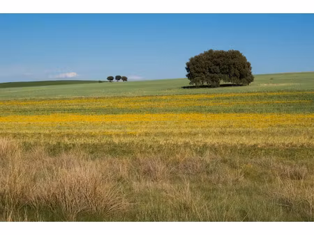 vente terrain 1300 m² à sainte-féréole (19270)  39 000 €