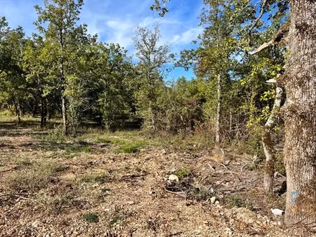 vente terrain à lalbenque (46230)  61 600 €