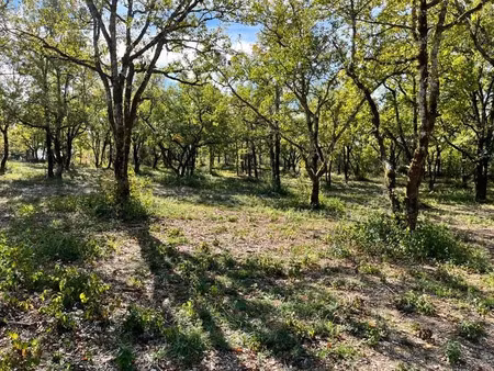 vente terrain 1327 m² à lalbenque (46230)  66 780 €