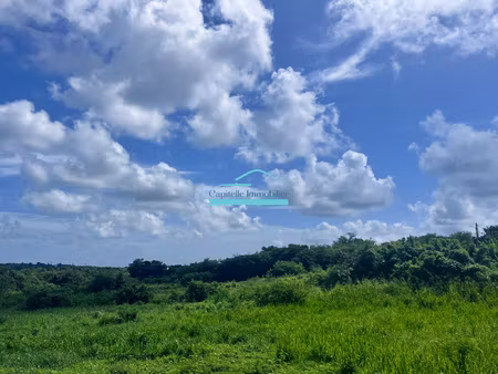 sainte-anne le helleux terrain 700 m2 constructible et viab