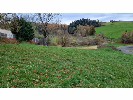 vente terrain 6800 m² à saint-didier-en-velay (43140)  96 000 €