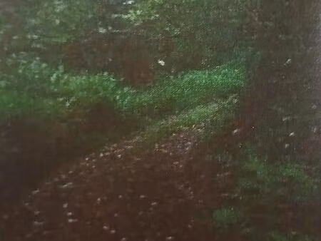 terrain en zone contructible et terrain en zone agricole