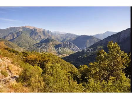 vente terrain 100435 m² à sospel (06380)  125 000 €