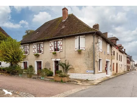 vente immeuble 0 pièces à coussac-bonneval (87500)  182 000 €